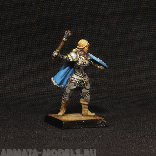 iris female paladin in armour BROTHER VINNI's