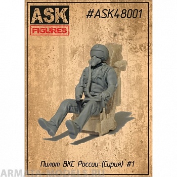 ASK48001 Пилот ВКС России (Сирия) №1