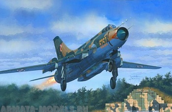 D-13 Самолёт Su-20R Last Flight